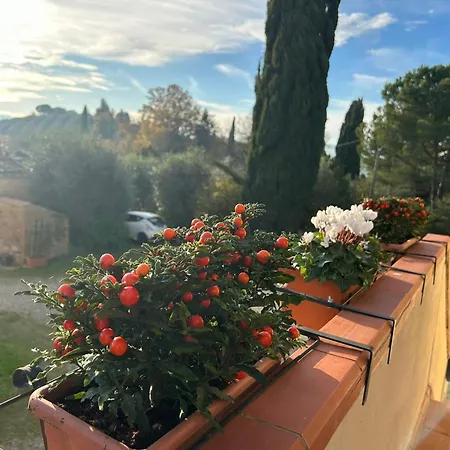 Podere Sasso 3 *